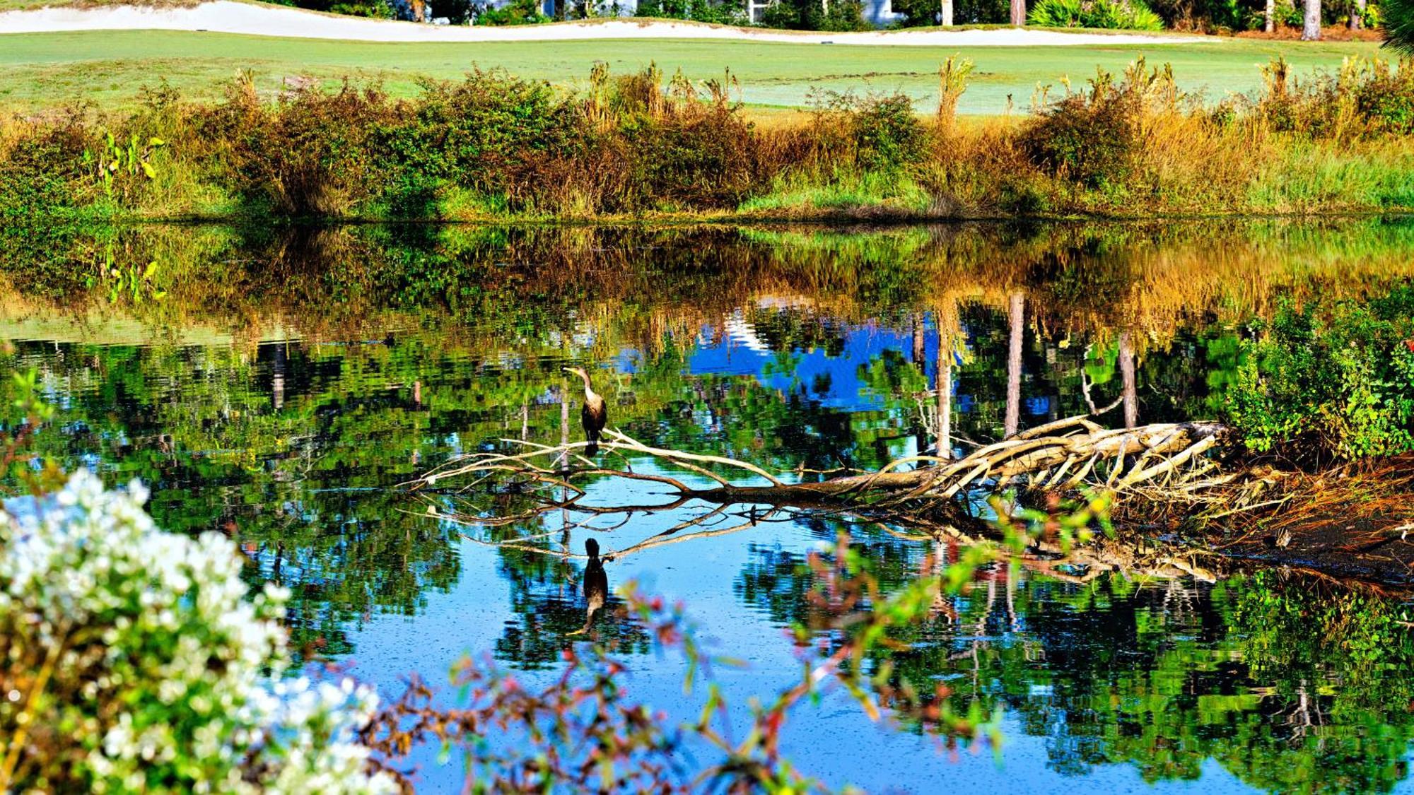 St James Bay Golf & Pickleball Resort Big Blackjack Landing ภายนอก รูปภาพ
